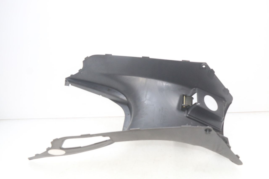 photo de TANKVERKLEIDUNG HONDA FES PANTHEON 2T 125 (1998 - 2002) - Zoom auf Gebrauchszustand