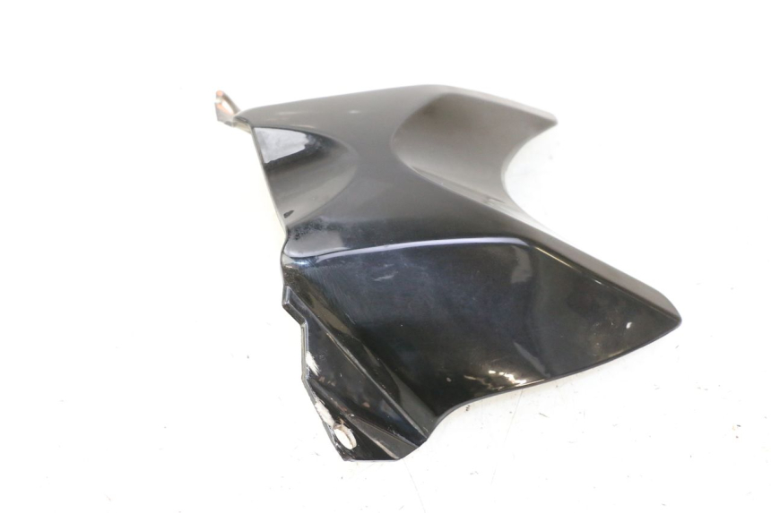 photo de TANK VERKLEIDUNG STAHO FH 50 (2018 - 2019) - Alternative Perspektive