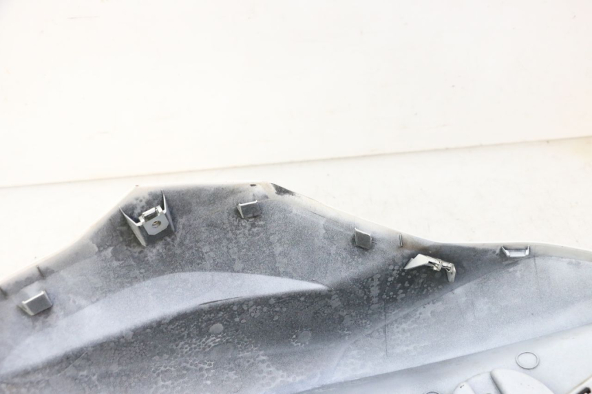 photo de TANK VERKLEIDUNG LINKS BMW G310 R 310 (2016 - 2020) - Zoom auf Gebrauchszustand