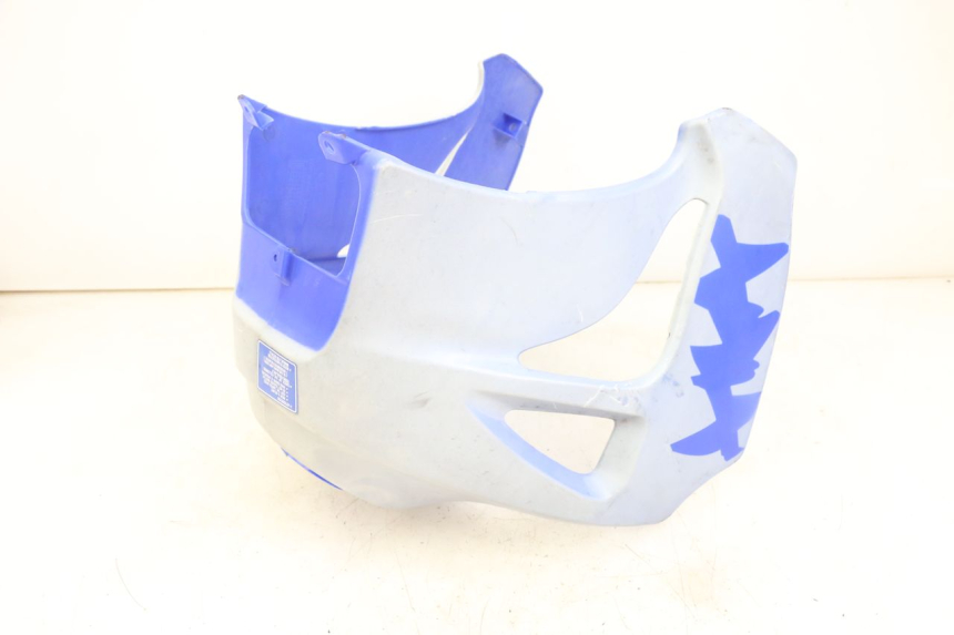 photo de TANKVERKLEIDUNG HYOSUNG XRX 125 (2000 - 2008) - Detailansicht des Bauteils