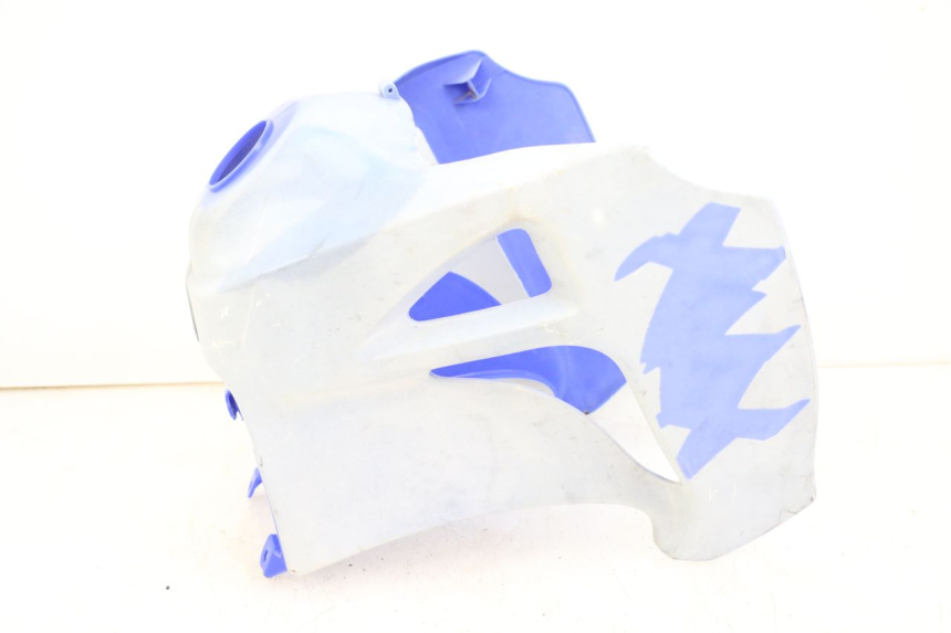 photo de TANKVERKLEIDUNG HYOSUNG XRX 125 (2000 - 2008) - Alternative Perspektive