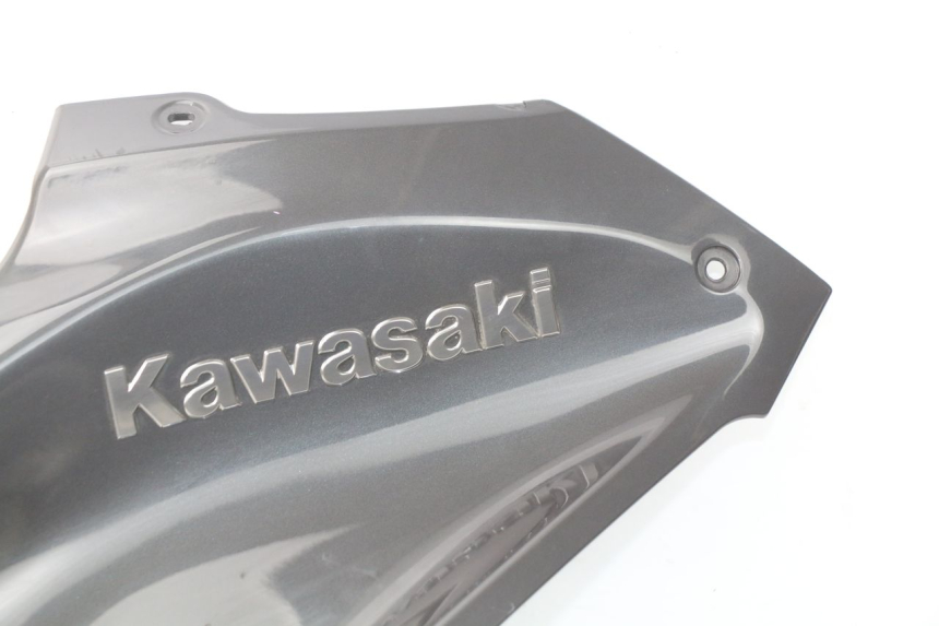 photo de TANK VERKLEIDUNG KAWASAKI Z Z900 900 (2017 - 2019) - Profilansicht des Ersatzteils