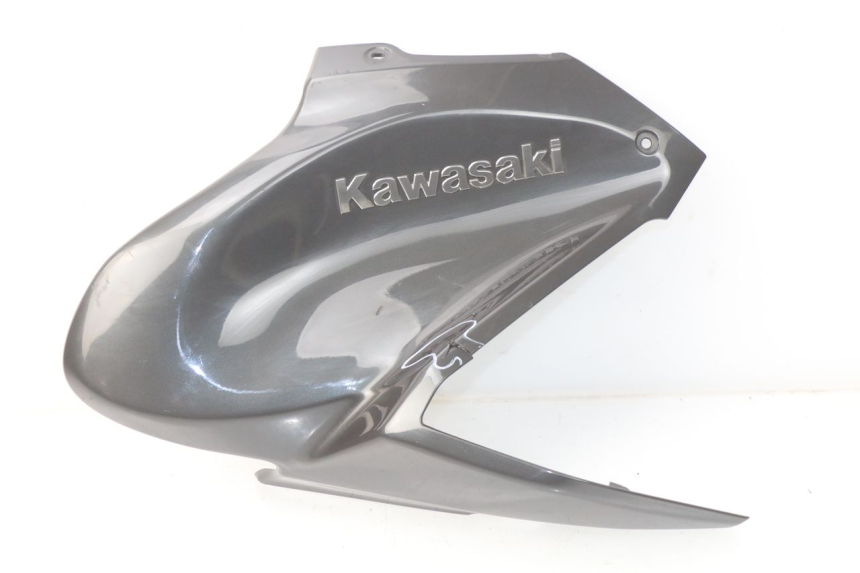 photo de TANK VERKLEIDUNG KAWASAKI Z Z900 900 (2017 - 2019) - Hauptansicht
