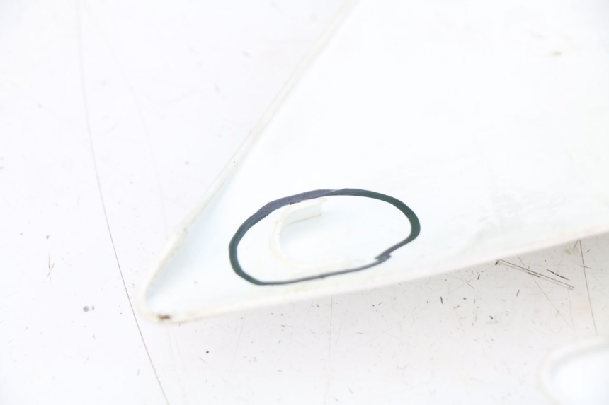 photo de VOLLVERKLEIDUNG KAROSSERIE KAWASAKI KLX 110 (2010 - 2022) - Profilansicht des Ersatzteils