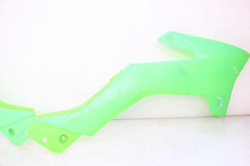 photo de VOLLVERKLEIDUNG KAROSSERIE APOLLO RXF 125 - Technische Nahaufnahme