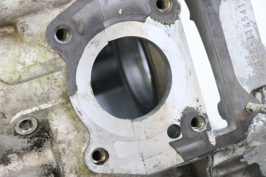 photo de Motorblock-Unterteil HYOSUNG GV AQUILA 125 (2000 - 2009) - Alternative Perspektive