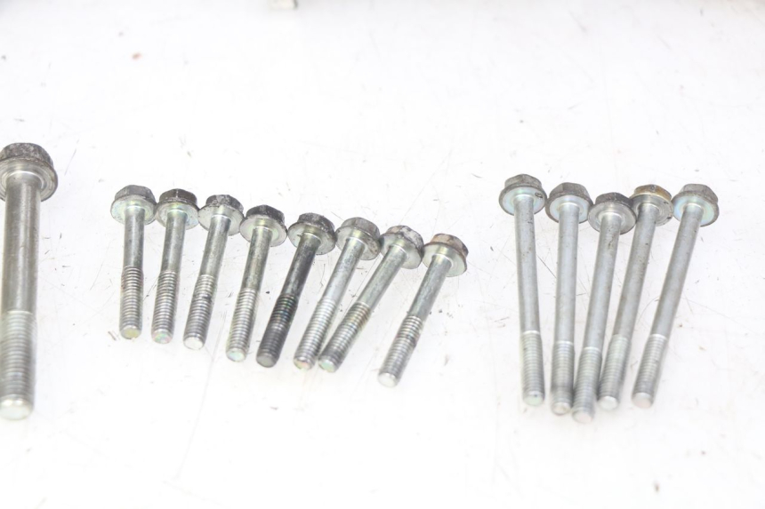 photo de UNTERER MOTORBLOCK HONDA CBF 500 (2004 - 2007) - Details der Befestigungspunkte