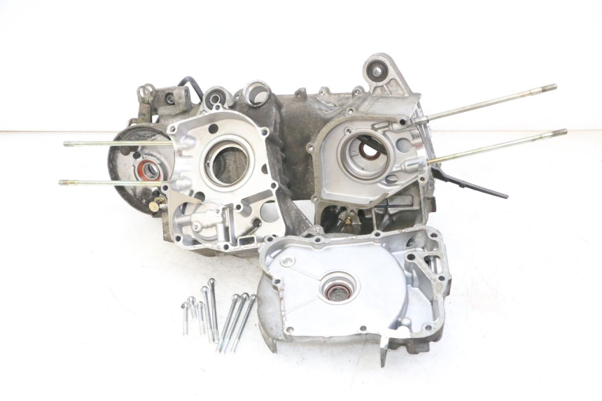 photo de KURBELGEHÄUSE DAELIM BESBI 125 (2007 - 2008) - Zoom auf Gebrauchszustand