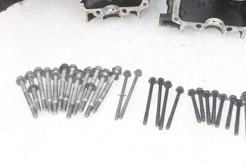 photo de UNTERER MOTORBLOCK YAMAHA FZS FAZER 600 (1998 - 2001) - Technische Nahaufnahme