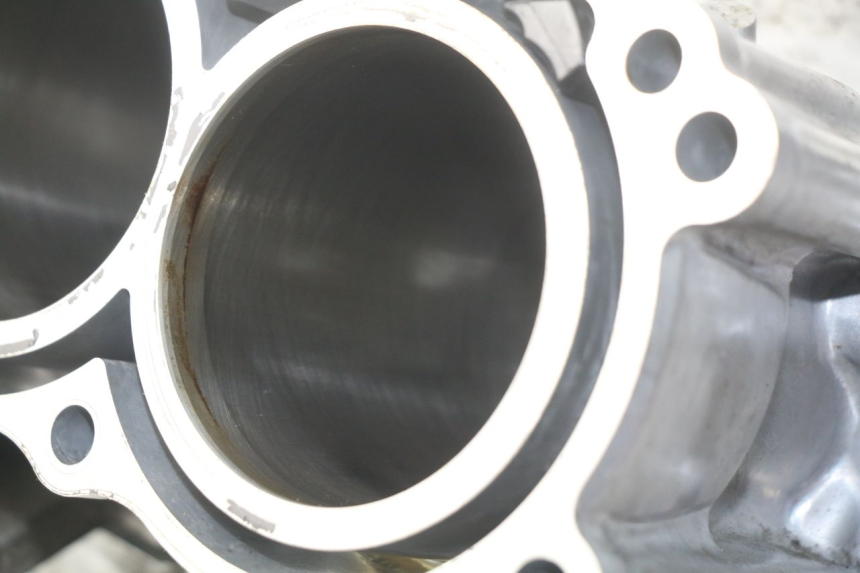 photo de KURBELGEHÄUSE HONDA INTEGRA NC D 750 (2016 - 2018) - Oberflächenzustand und Material