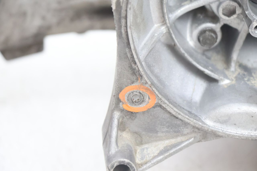 photo de KURBELGEHÄUSE PEUGEOT LUDIX BLASTER 50 (2006 - 2014) - Charakteristische Merkmale