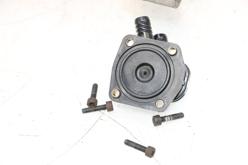 photo de KURBELGEHÄUSE PEUGEOT LUDIX ONE 50 (2004 - 2013) - Fokus auf die Struktur