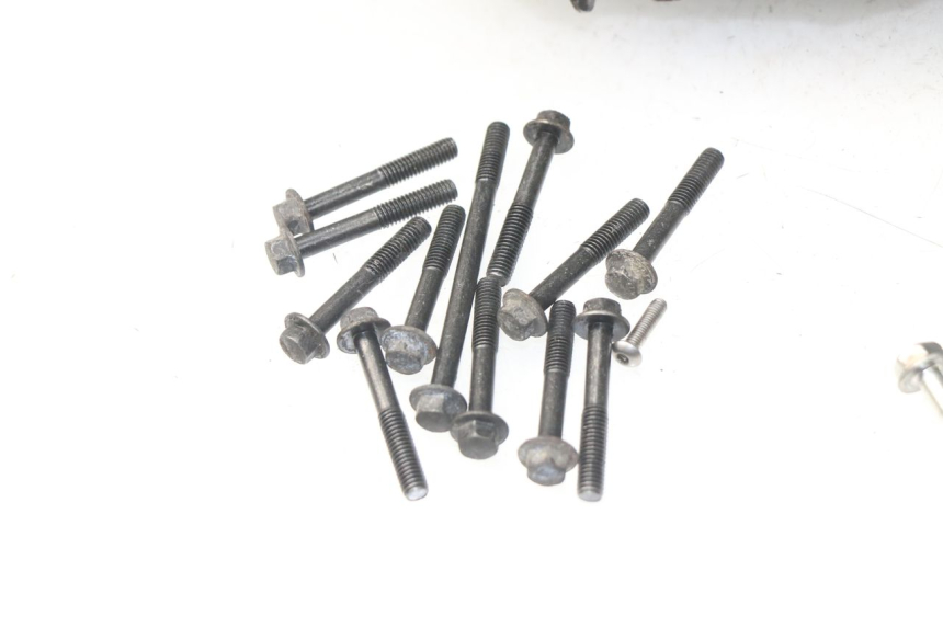 photo de KURBELGEHÄUSE HONDA NSS EX FORZA 250 (2005 - 2013) - Fokus auf die Struktur