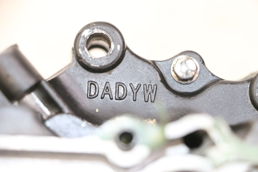 photo de KURBELGEHÄUSE REGAL RAPTOR RAXTER 2 125 (2007 - 2015) - Zoom auf Gebrauchszustand