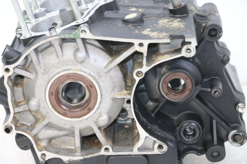 photo de KURBELGEHÄUSE REGAL RAPTOR RAXTER 2 125 (2007 - 2015) - Gesamtansicht des Produkts