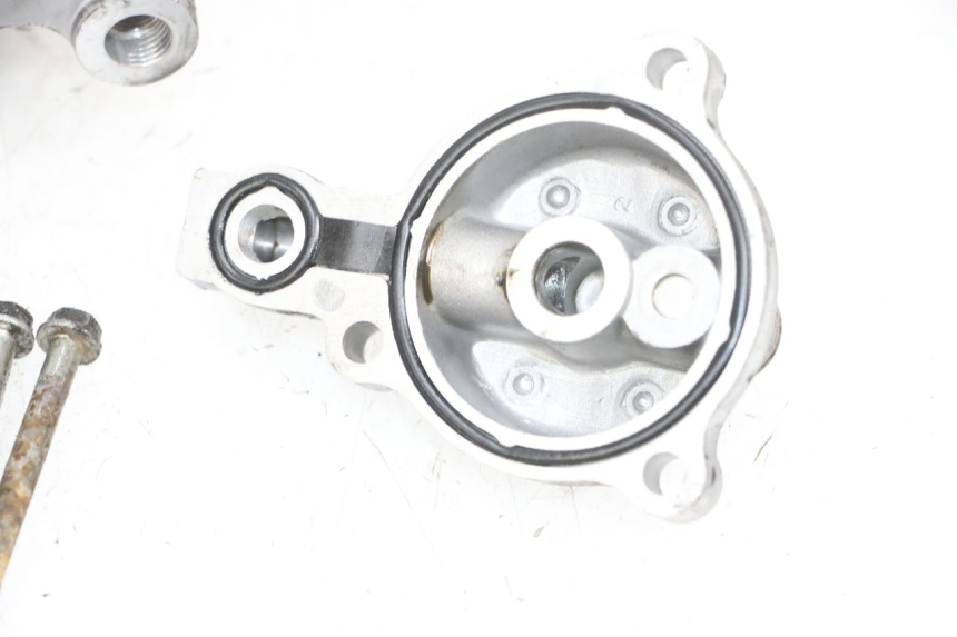 photo de MOTORBLOCKGEHäUSE DAELIM S1 125 (2007 - 2016) - Hauptansicht