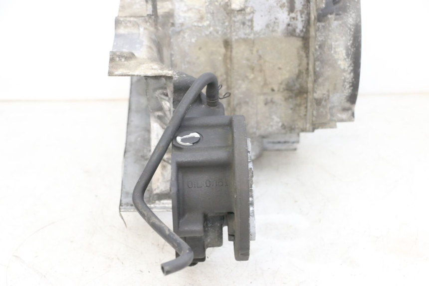 photo de MOTORBLOCKGEHäUSE DAELIM S1 125 (2007 - 2016) - Details der Befestigungspunkte