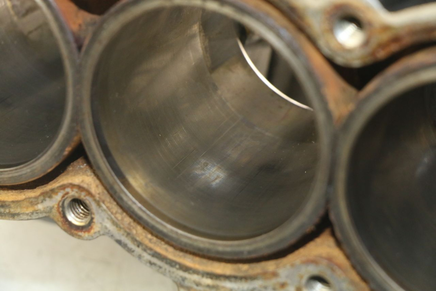 photo de MOTORBLOCK-UNTERTEIL TRIUMPH SPRINT ST 955 (1999 - 2001) - Qualität der Gebrauchtware