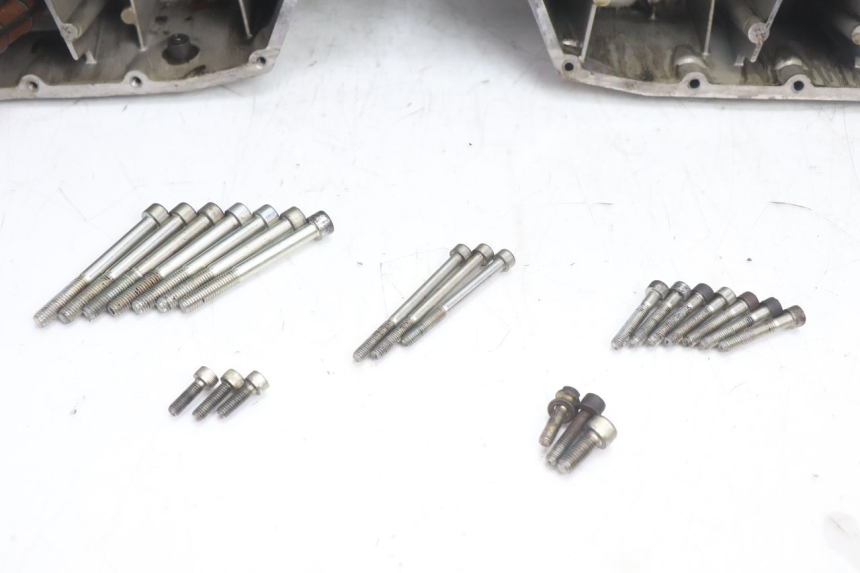 photo de KURBELGEHÄUSE DUCATI SS IE DS CARENEE 1000 (2002 - 2006) - Oberflächenzustand und Material