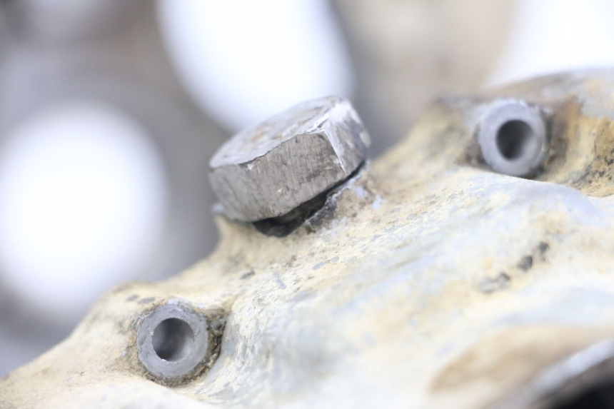 photo de MOTORBLOCK-UNTERTEIL HONDA TRX 300 (1988 - 2000) - Zoom auf Komponenten