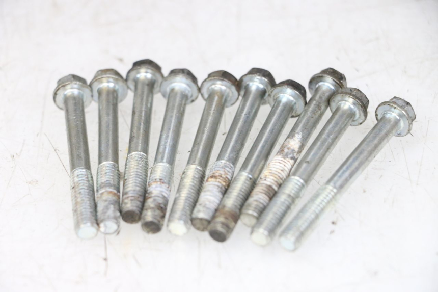 photo de Motorblock-Unterteil DAELIM VL DAYSTAR 125 (2000 - 2011) - Zoom auf Komponenten