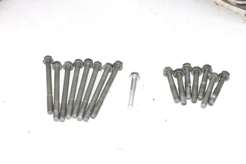 photo de KURBELGEHÄUSE SUZUKI VL INTRUDER 125 (2004 - 2007) - Hochauflösende Nahaufnahme