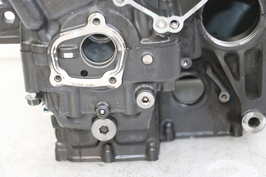 photo de KURBELGEHÄUSE YAMAHA FZ1 FAZER 1000 (2007 - 2009) - Charakteristische Merkmale