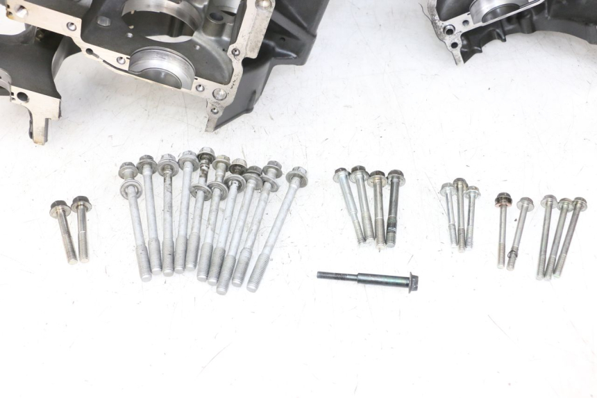 photo de KURBELGEHÄUSE YAMAHA FZ1 FAZER 1000 (2007 - 2009) - Gesamtansicht des Produkts