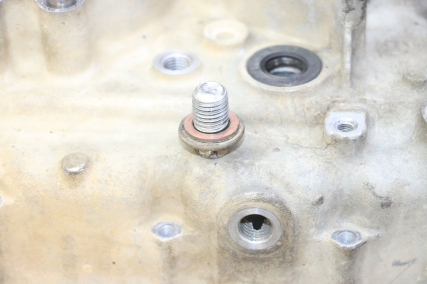 photo de KURBELGEHÄUSE YAMAHA YFM R RAPTOR 250 (2008 - 2014) - Ergänzendes Produktfoto