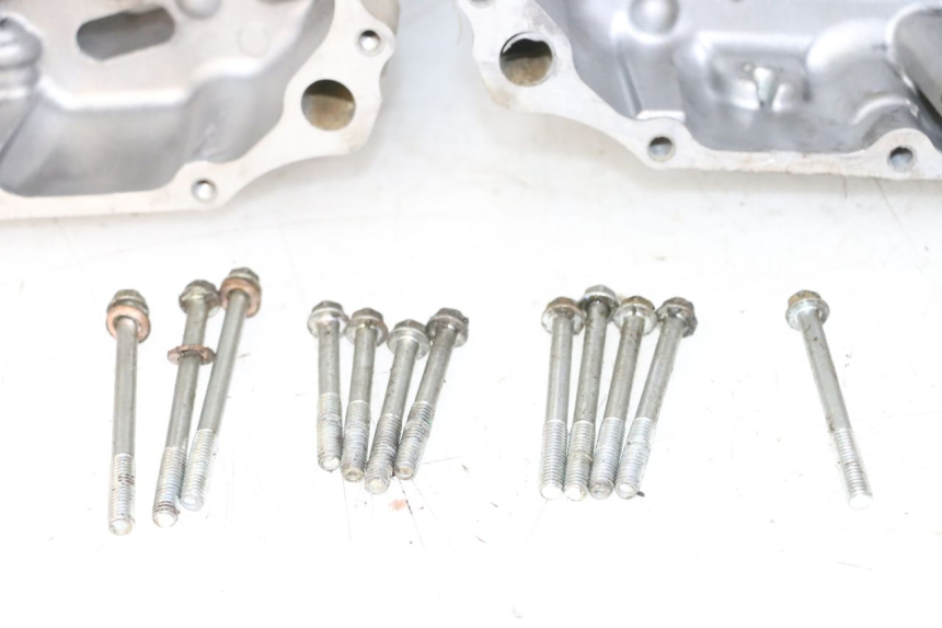 photo de KURBELGEHÄUSE YAMAHA YFM R RAPTOR 250 (2008 - 2014) - Detaillierte Sichtprüfung