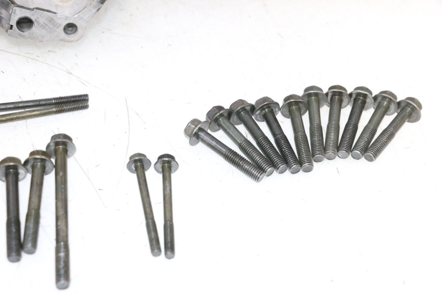 photo de KURBELGEHÄUSE YAMAHA YZF R GENESIS 750 (1993 - 1998) - Oberflächenzustand und Material
