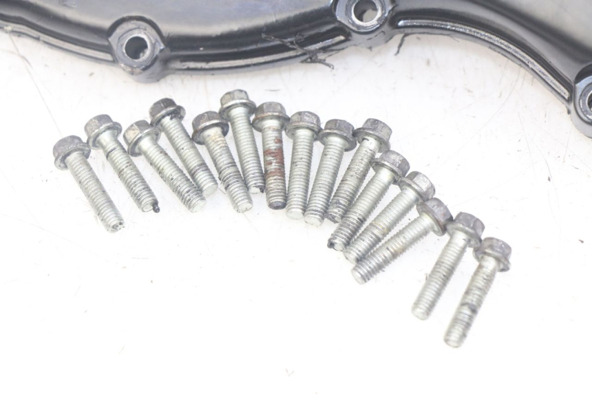 photo de KUPPLUNGSGEHÄUSE TRIUMPH SPRINT ST 955 (1999 - 2001) - Oberflächenzustand und Material