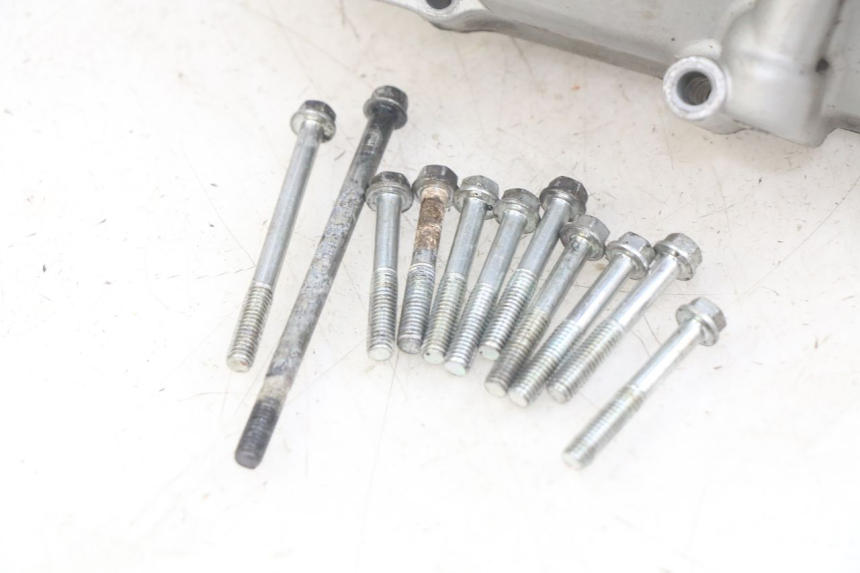 photo de KUPPLUNGSGEHÄUSE DAELIM VJ ROADWIN FI 125 (2008 - 2017) - Oberflächenzustand und Material