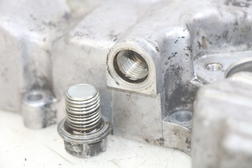 photo de ÖLWANNE YAMAHA FZS FAZER 600 (1998 - 2001) - Detailansicht des Bauteils