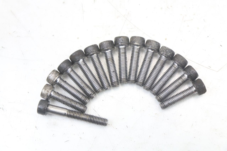 photo de ÖLWANNE YAMAHA TDM ABS 900 (2002 - 2014) - Details der Befestigungspunkte