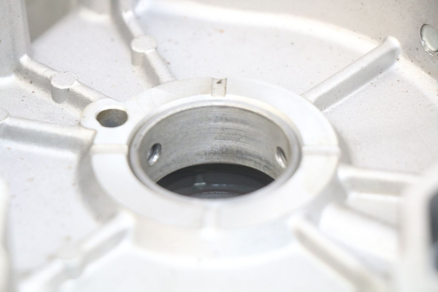 photo de LINKER MOTOR LINKS APRILIA SCARABEO LIGHT 125 (2007 - 2011) - Alternative Perspektive