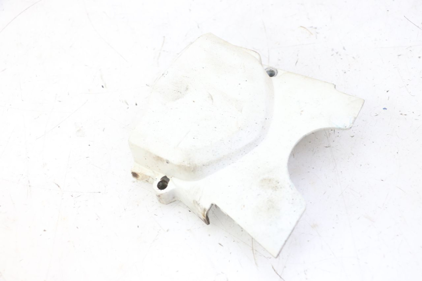 photo de RITZELABDECKUNG SKYTEAM DAX REPLICA 110 (2005 - 2015) - Hauptansicht