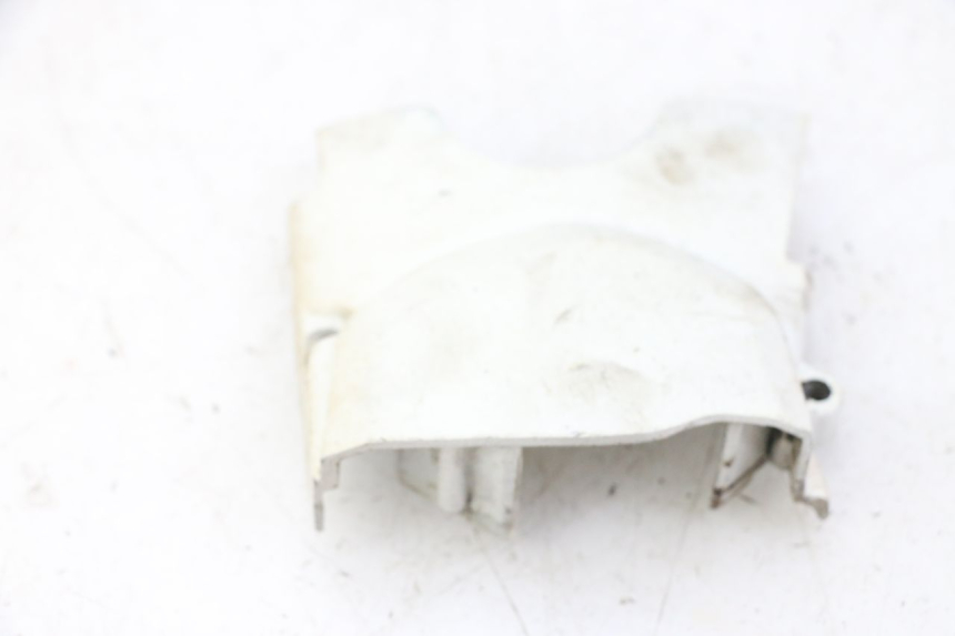 photo de RITZELABDECKUNG SKYTEAM DAX REPLICA 110 (2005 - 2015) - Technische Nahaufnahme