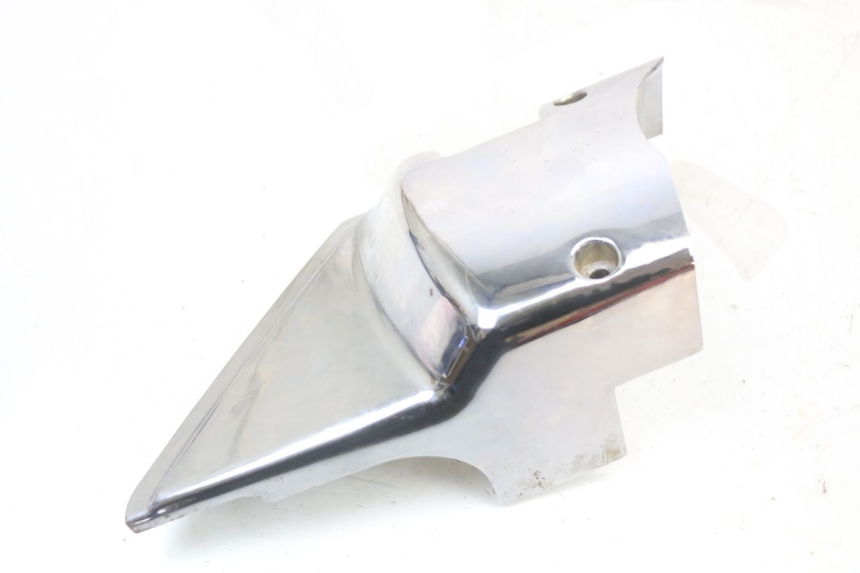 photo de RITZELABDECKUNG REGAL RAPTOR RAXTER 2 125 (2007 - 2015) - Zoom auf Gebrauchszustand