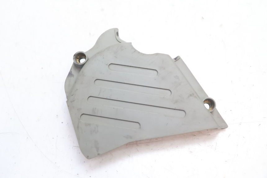 photo de RITZELABDECKUNG DUCATI SS IE DS CARENEE 1000 (2002 - 2006) - Detailansicht des Bauteils