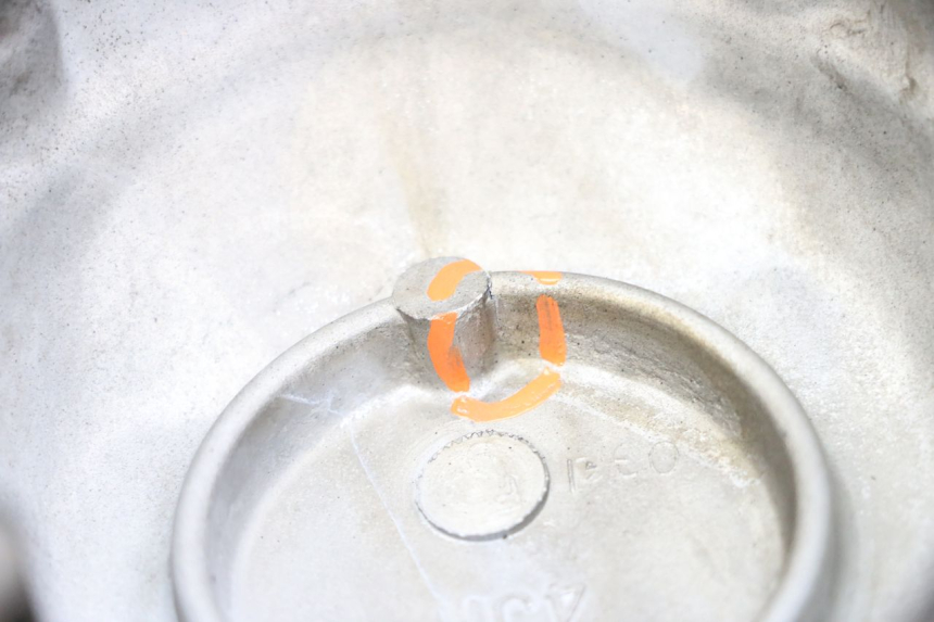 photo de FREILAUFGEHÄUSE YAMAHA FZS FAZER 600 (2001 - 2003) - Hauptansicht