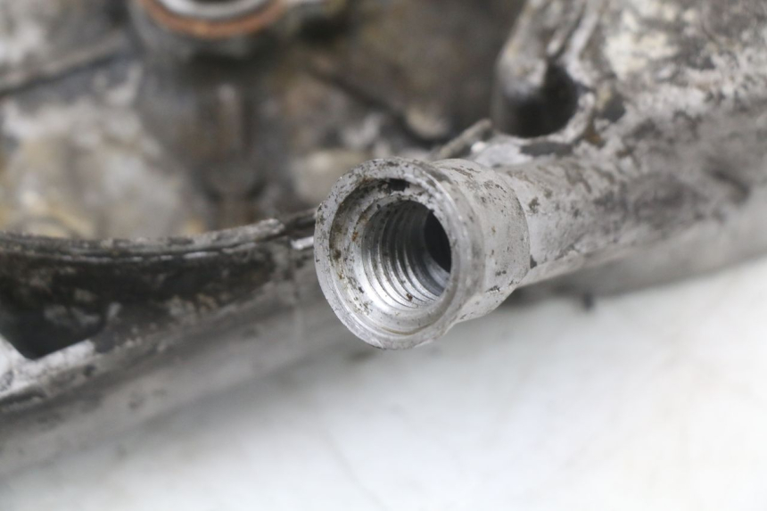 photo de LICHTMASCHINENDECKEL PEUGEOT DJANGO 125 (2014 - 2017) - Alternative Perspektive