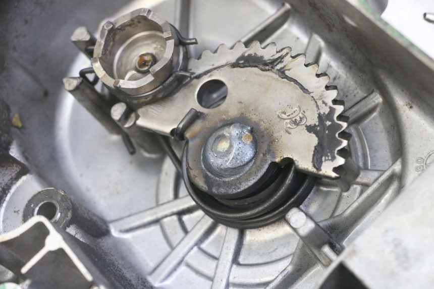 photo de VARIOMATIKGEHäUSE VENESI FLY RETRO 4T 50 (2020 - 2025) - Technische Nahaufnahme