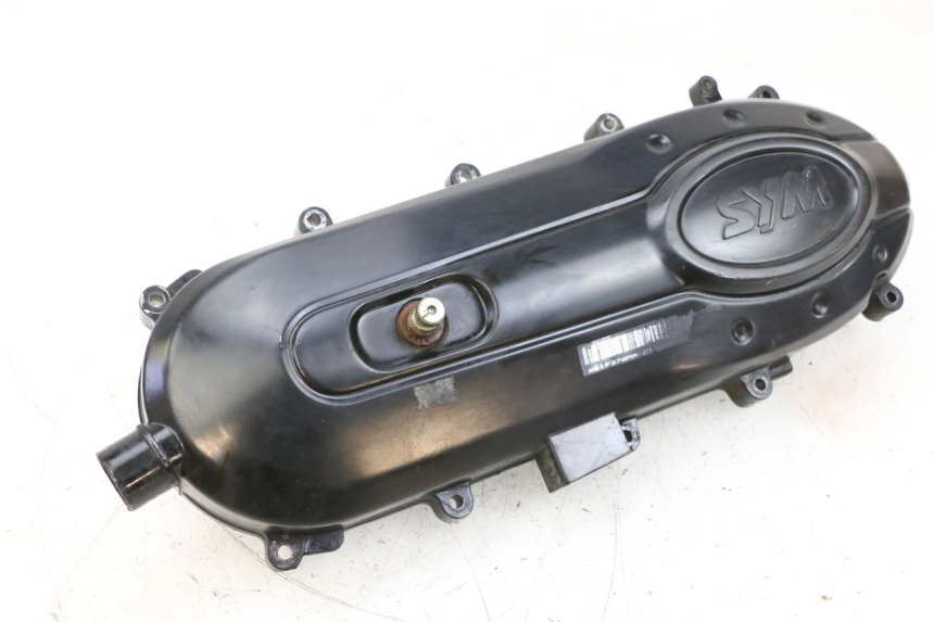 photo de VARIOMATIKGEHäUSE SYM ORBIT 2 4T 50 (2008 - 2017) - Hauptansicht