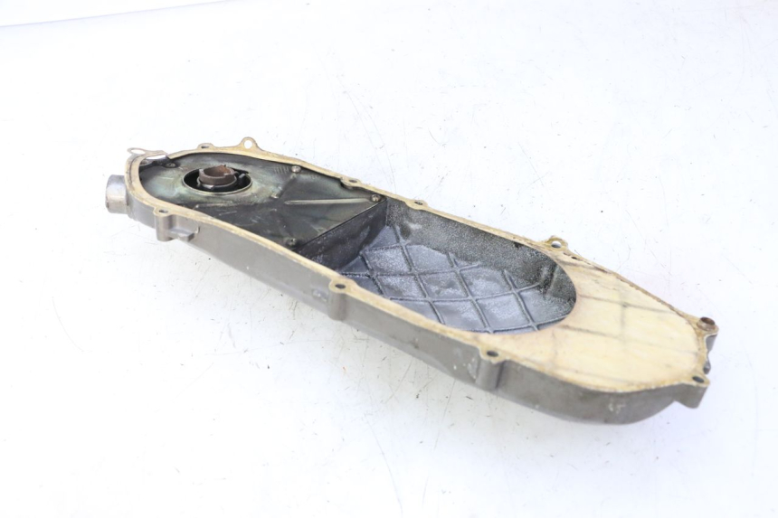 photo de VARIOMATIKGEHäUSE PGO RODOSHOW 2T 50 (2003 - 2007) - Zoom auf Gebrauchszustand