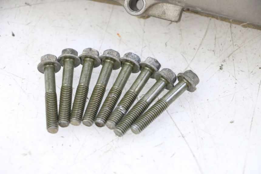 photo de VARIOMATIKGEHäUSE PGO RODOSHOW 2T 50 (2003 - 2007) - Oberflächenzustand und Material