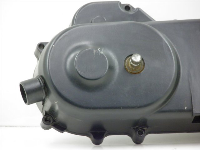 photo de VARIODECKEL SIAMOTO BIRDIE 50 (2009 - 2010) - Zoom auf Gebrauchszustand