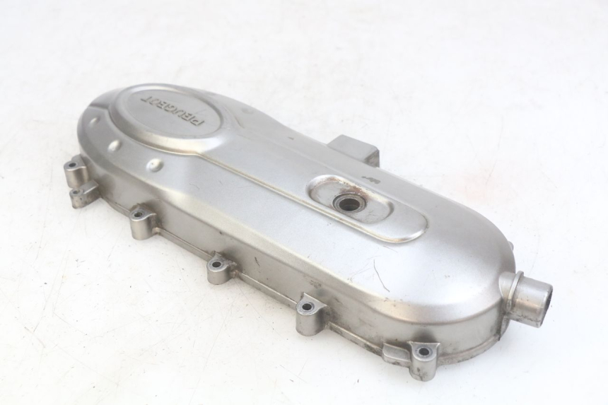 photo de VARIOMATIKGEHäUSE PEUGEOT TWEET 4T 50 (2010 - 2014) - Gesamtansicht des Produkts