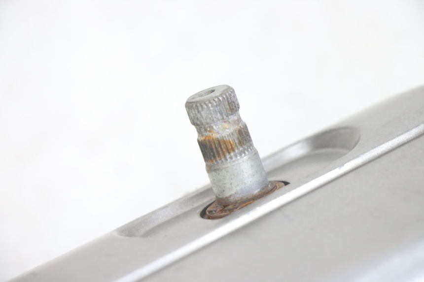 photo de VARIOMATIKGEHäUSE PEUGEOT TWEET 4T 50 (2014 - 2019) - Gesamtansicht des Produkts