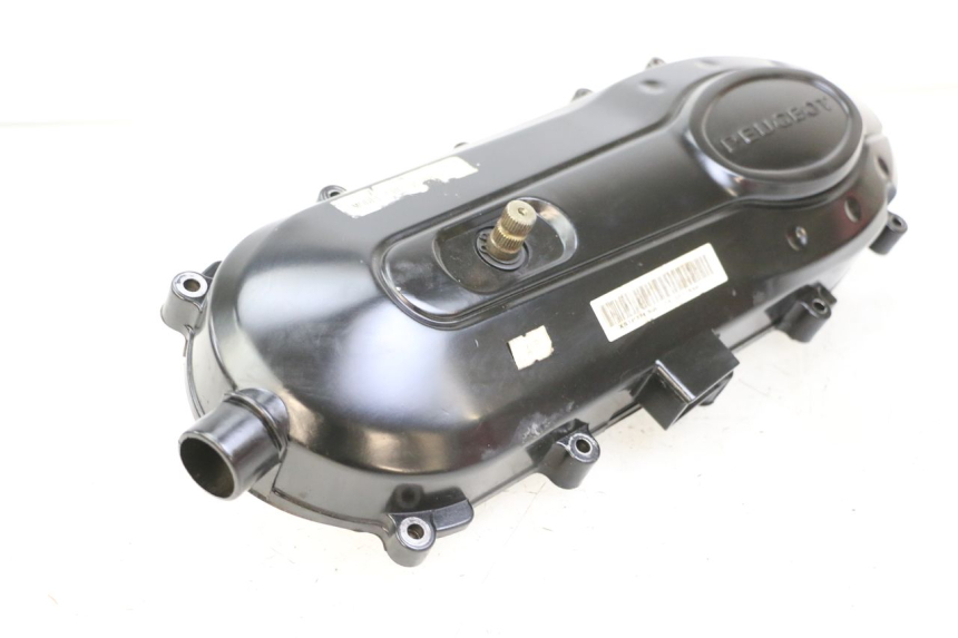 photo de VARIODECKEL PEUGEOT TWEET 4T 50 (2018 - 2022) - Oberflächenzustand und Material